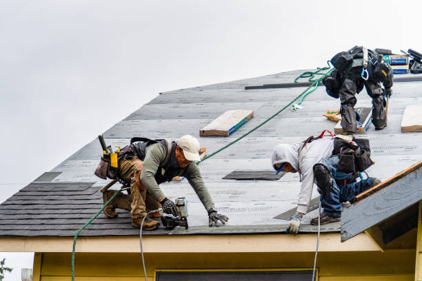 Professional Roof Installation technician working in Luke, MD